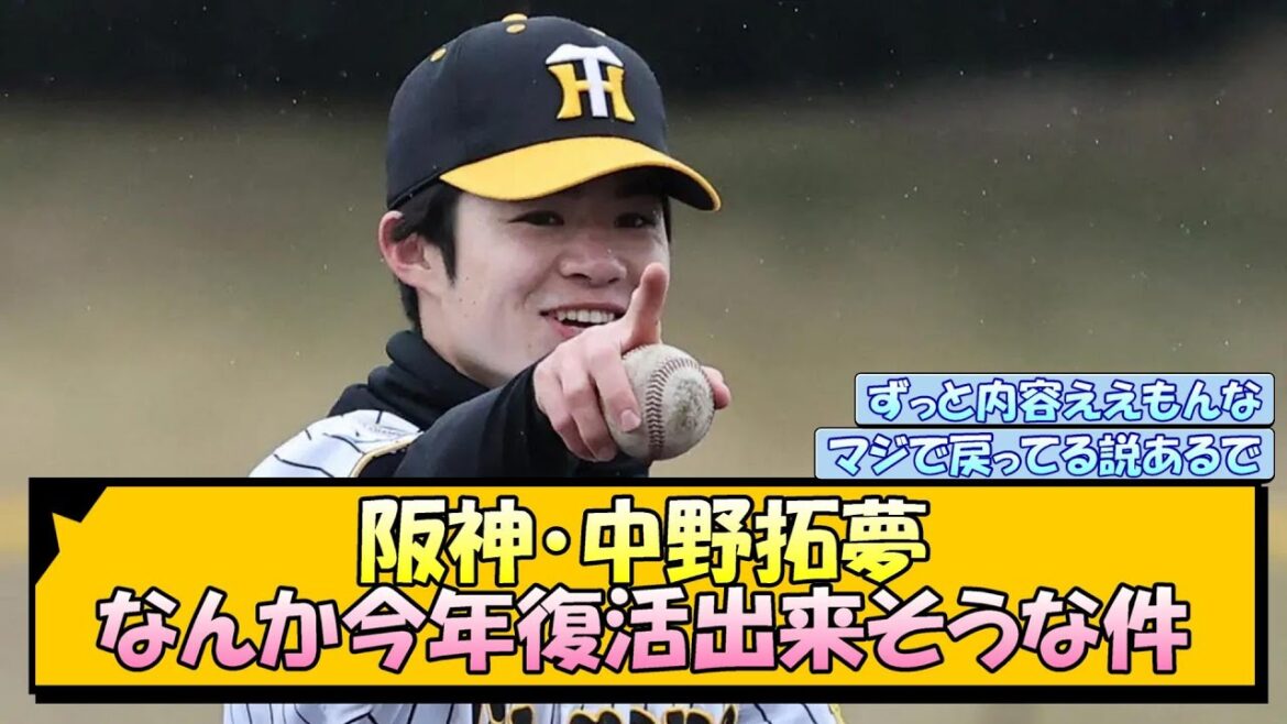 阪神・中野拓夢 なんか今年復活出来そうな件【なんJ/2ch/5ch/ネット 反応 まとめ/阪神タイガース/藤川球児】