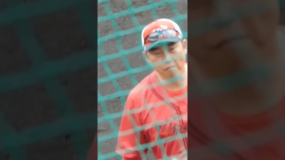 今でも阪神ファンに人気の新井監督