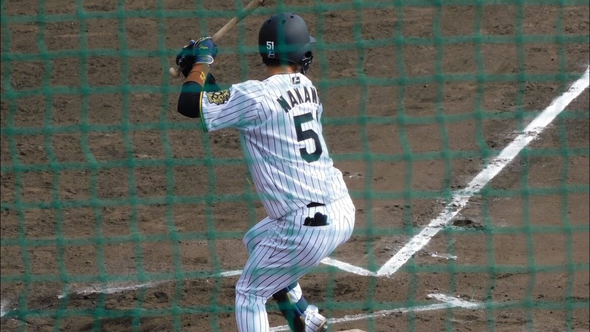 【逆襲を期す最多安打男】中野拓夢 途中出場初打席で2塁打 【逆襲を期す最多安打男】中野拓夢 途中出場初打席で2塁打