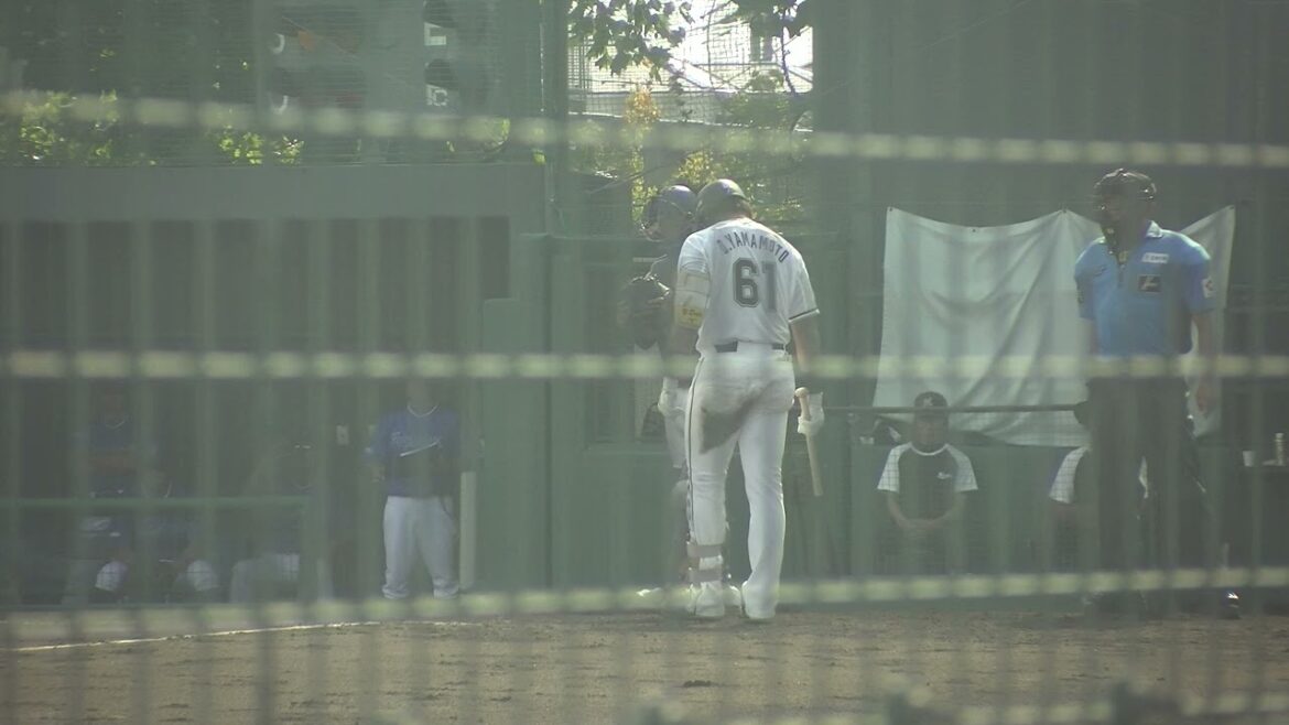 千葉ロッテマリーンズ 山本大斗選手 第3打席 センターフライ VS 横浜DeNAベイスターズ 2024/9/6 ロッテ浦和球場