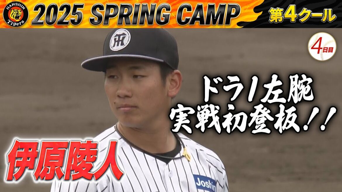 【2/18阪神キャンプ】伊原陵人 LIVE BP登板！！