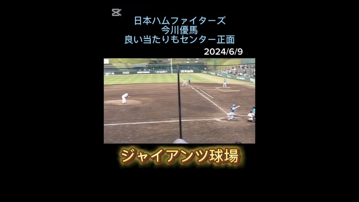 【FIGHTERS】 #今川優馬 良い当たりもセンター正面 #shorts #ファイターズ #日本ハム #プロ野球