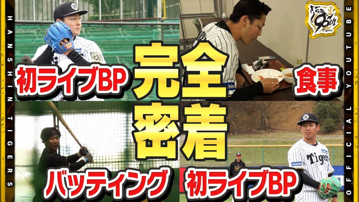 【密着】ドラフト1位ルーキー#伊原陵人 選手＆ドラフト3位ルーキー#木下里都 選手の１日に完全密着！初の打者相手でのピッチングに強化練習＆ランチまで！充実の１日に広報カメラが迫りました！