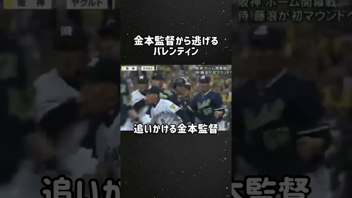 逃げるバレンティン追いかける金本監督＃金本＃バレンティン