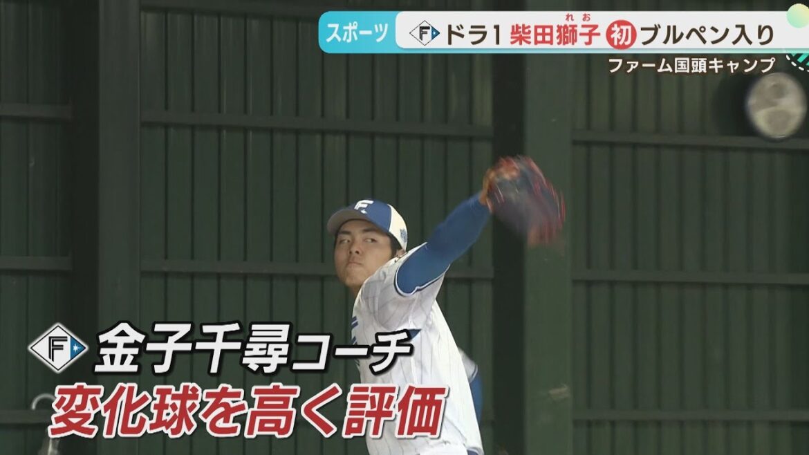 【ファイターズ】沖縄キャンプ ドラフト1位ルーキー 柴田ブルペン入り! 【ファイターズ】沖縄キャンプ ドラフト1位ルーキー 柴田ブルペン入り!