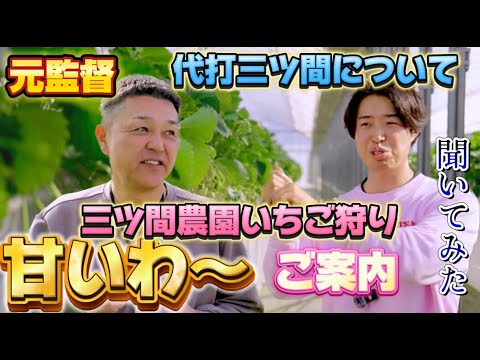 【元監督谷繁さん】いちご狩りご案内。現役時代の思っていたことぶつけてみた。 【元監督谷繁さん】いちご狩りご案内。現役時代の思っていたことぶつけてみた。