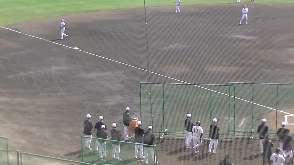 【シート打撃】岡本和真が井上温大からヒットを放つ2025年2月17日 読売ジャイアンツ沖縄キャンプ