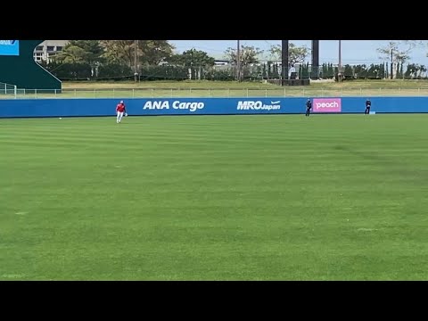 新外国人ファビアンのセンター守備。シートノックでのバックホームの映像あり。 新外国人ファビアンのセンター守備。シートノックでのバックホームの映像あり。