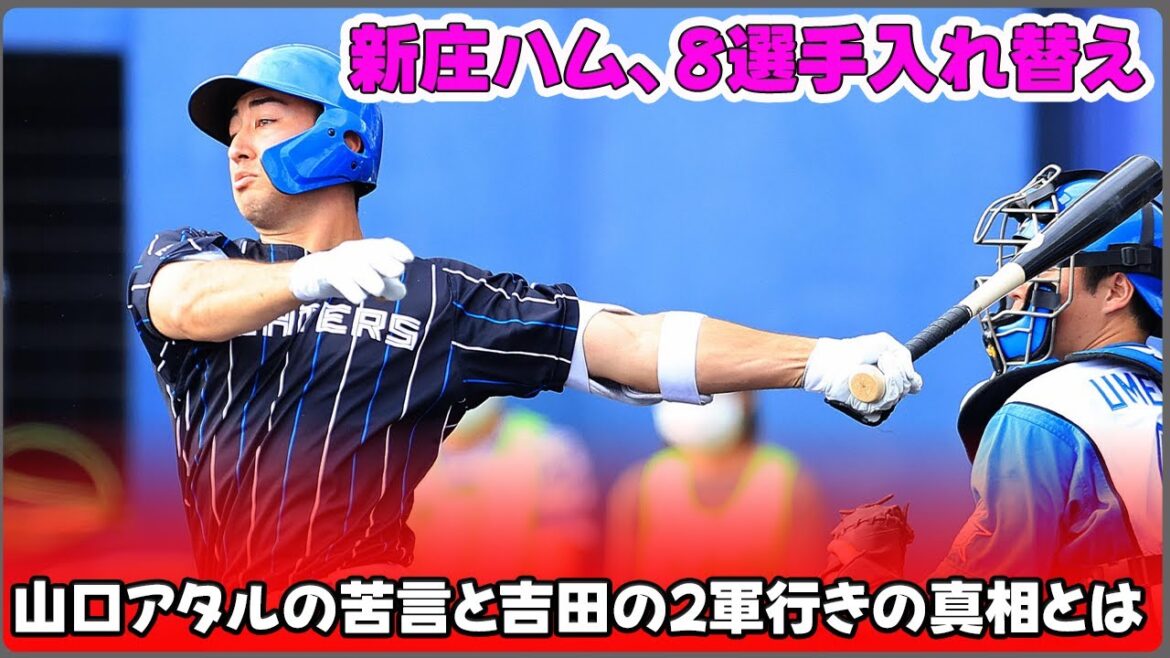 【野球】「新庄ハム、8選手入れ替え！山口アタルの苦言と吉田の2軍行きの真相とは？」 #新庄剛志,#山口アタル,#吉田賢吾,#与那嶺マイカ,#清水優心,