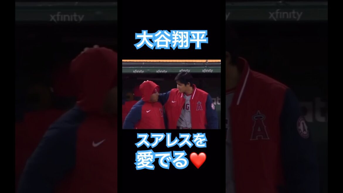 【MLB】大谷翔平、大好きなチームメイト、スアレスを愛でる #shoheiohtani #mlb #mvp #dodgers #angels #wbc #真美子 #デコピン