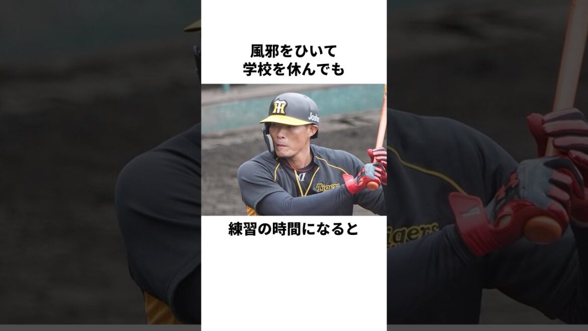 「幼少期に鍛えられたフィジカル」糸井嘉男についての雑学#野球 #野球雑学 #糸井嘉男