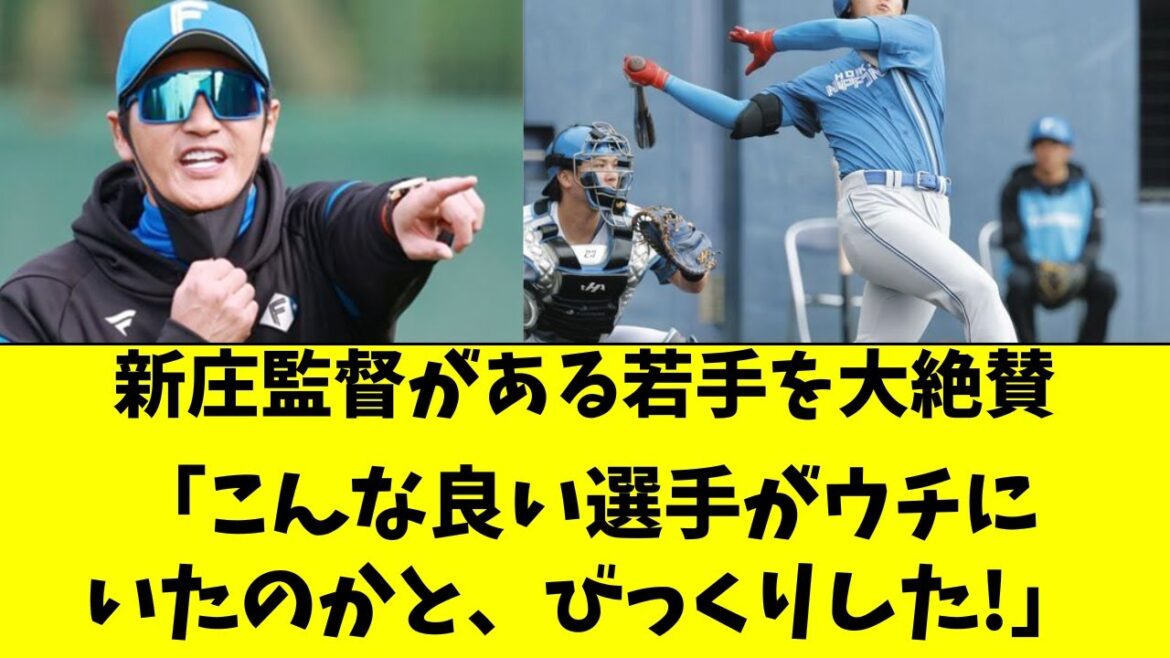 【日ハム】新庄監督がキャンプで大絶賛した若手５選手！