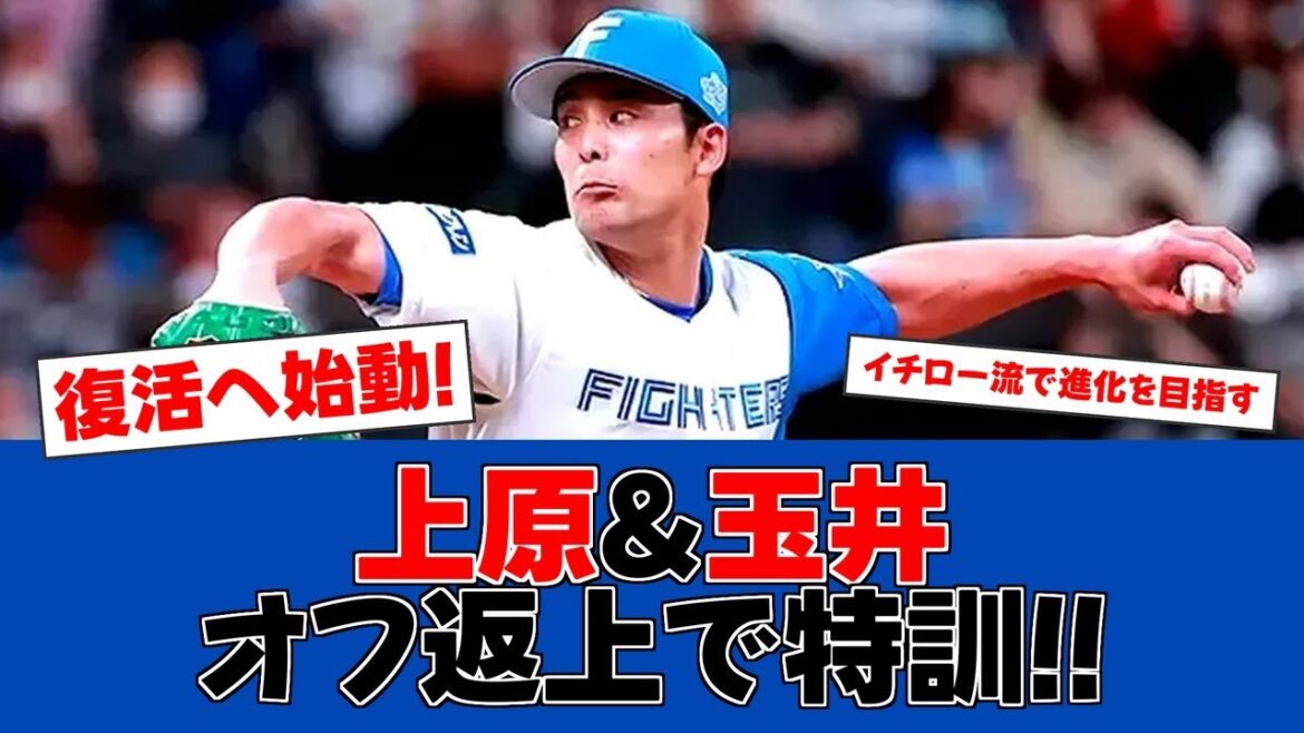 【春季キャンプ】日ハム投手陣が”イチロー式”トレーニングに挑戦!【日ハムファンの反応】【F速報】 【春季キャンプ】日ハム投手陣が"イチロー式"トレーニングに挑戦!【日ハムファンの反応】【F速報】