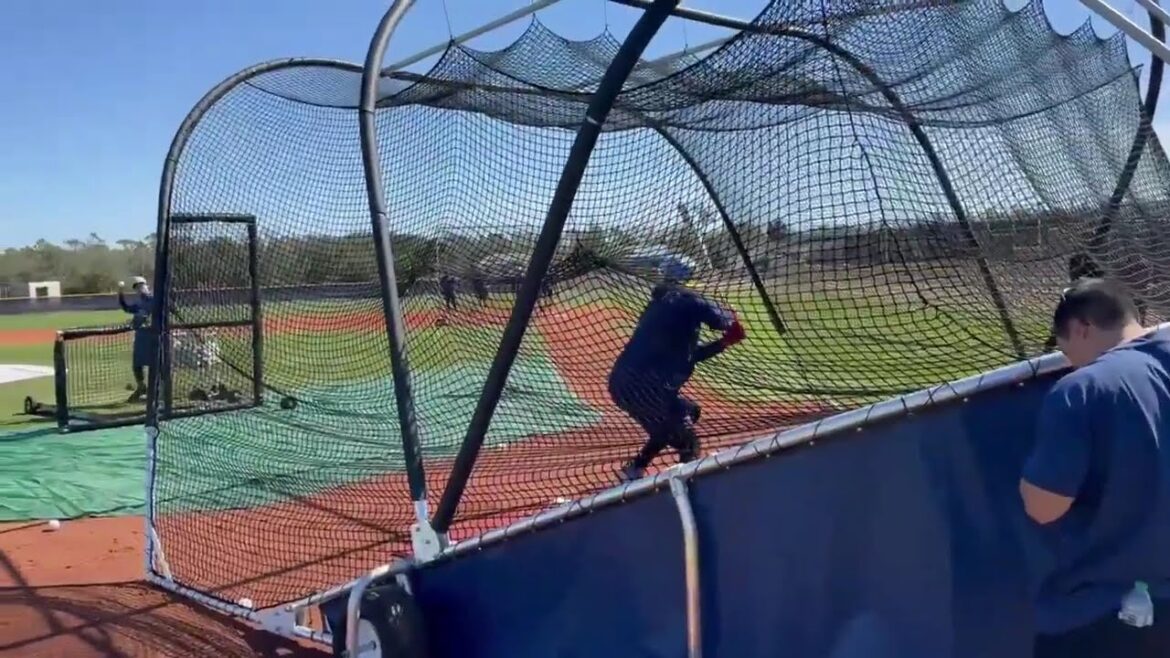 Brandon Lowe, Eloy Jimenez Take Batting Practice with Tampa Bay Rays! (2025 MLB Spring Training)