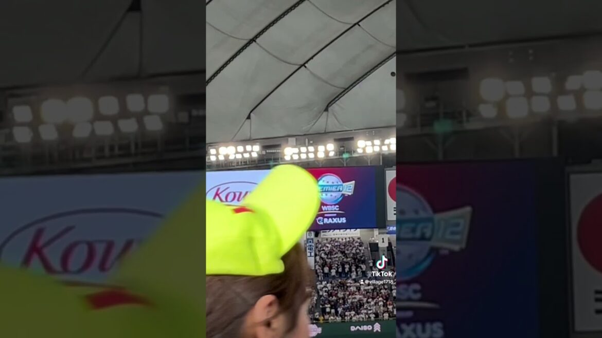 侍ジャパン 応援風景【楽天イーグルス 辰己涼介】（2024年11月23日）