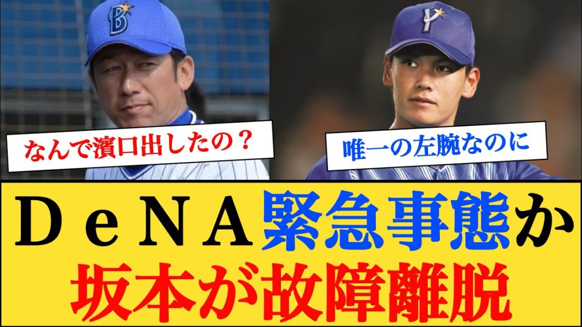 【DeNA】緊急事態‥ 坂本が故障離脱で中継ぎ左腕がいなくなる #横浜denaベイスターズ #なんj野球