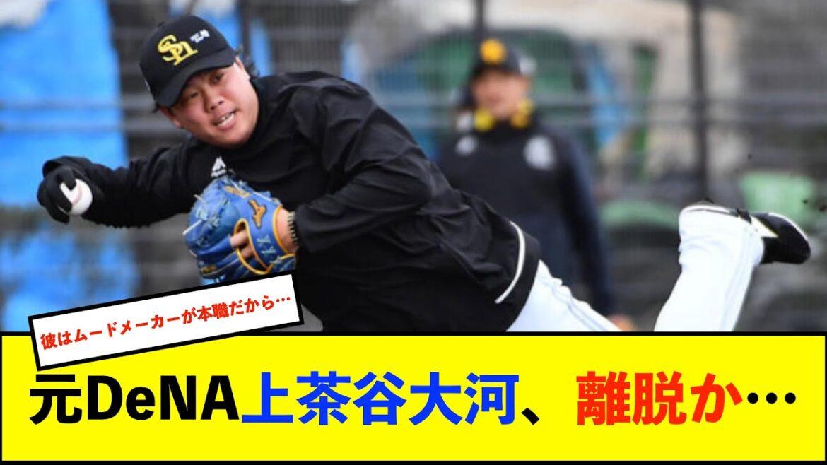 【悲報】DeNAからホークス移籍の上茶谷大河投手が右肘関節クリーニング手術 競技復帰まで3~4ヶ月を要する見込み【De速】 【悲報】DeNAからホークス移籍の上茶谷大河投手が右肘関節クリーニング手術 競技復帰まで3~4ヶ月を要する見込み【De速】