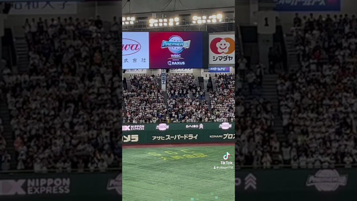 侍ジャパン 応援風景【北海道日本ハムファイターズ 五十幡亮汰】（2024年11月23日）