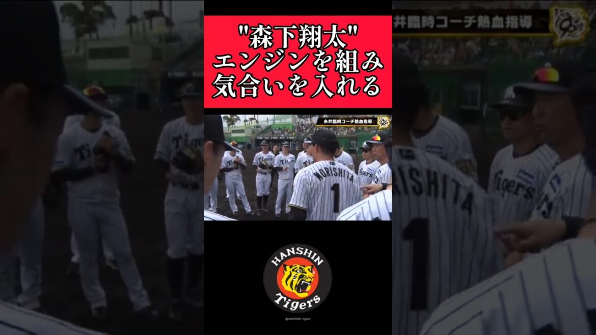 【阪神】"森下翔太"練習前の声出し！ #阪神 #阪神タイガース #森下翔太  #shorts