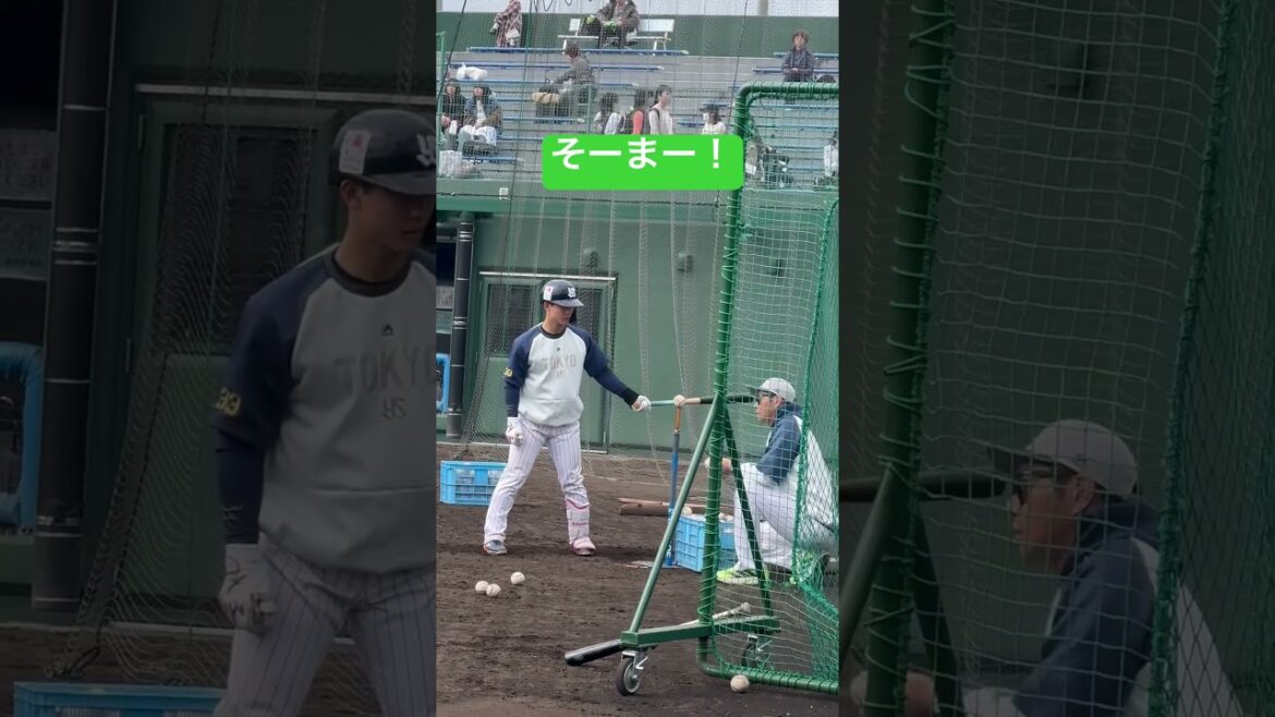 内山壮真選手がんばれ！ヤクルトスワローズ二軍キャンプ