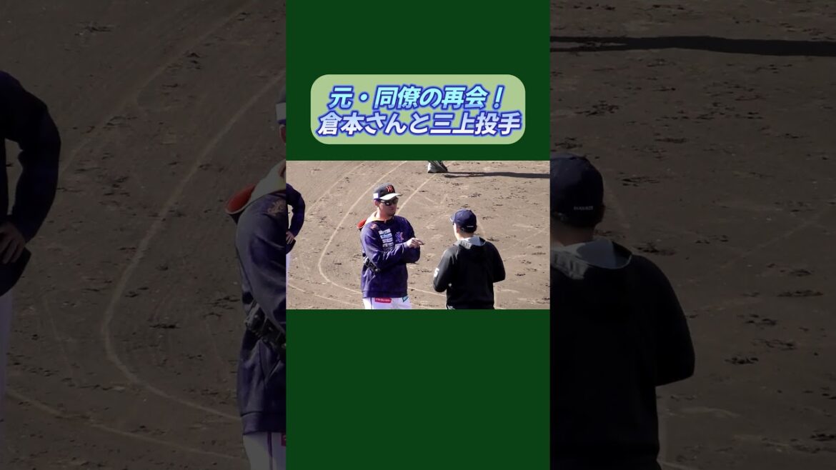 【2025/2/18 ちゅ~るスタジアム清水】ベイスターズの元・同僚!クララとミカミンの再会が嬉しさに満ち溢れてた♪ #shorts 【2025/2/18 ちゅ~るスタジアム清水】ベイスターズの元・同僚!クララとミカミンの再会が嬉しさに満ち溢れてた♪ #shorts