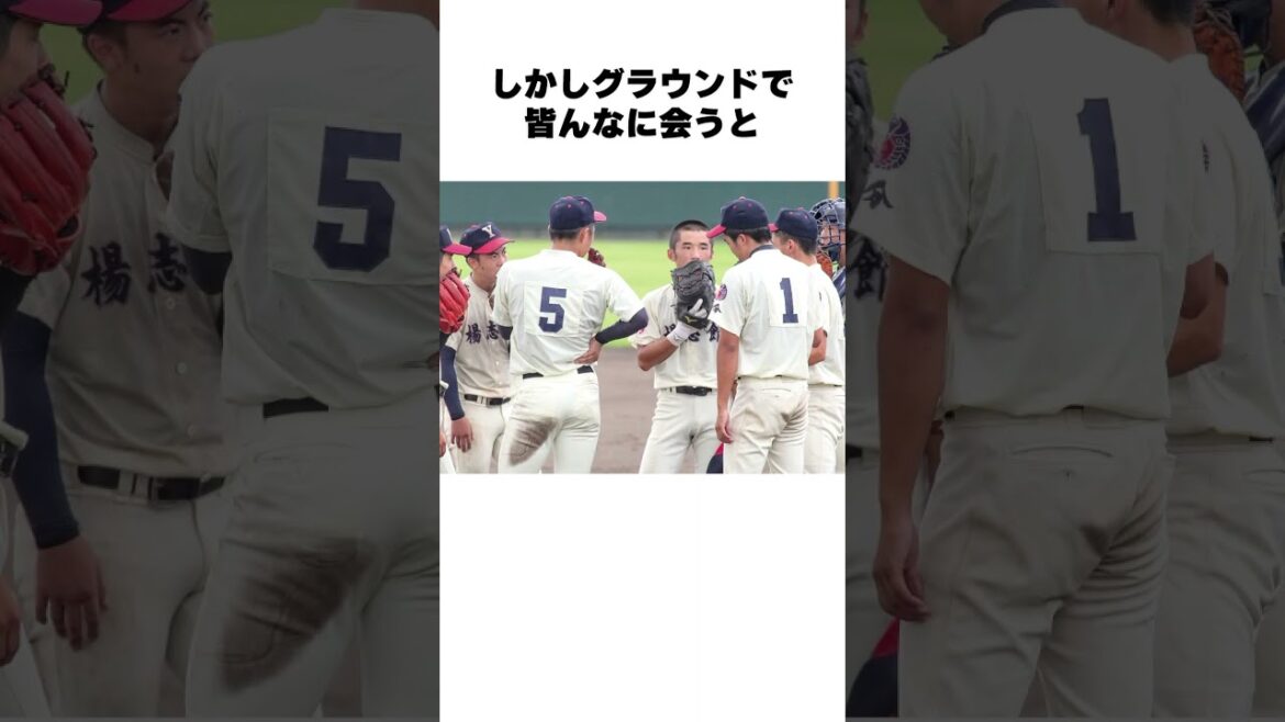 「がん治療を辞めた」高校野球の女子マネについての雑学 #野球 #野球雑学 #甲子園