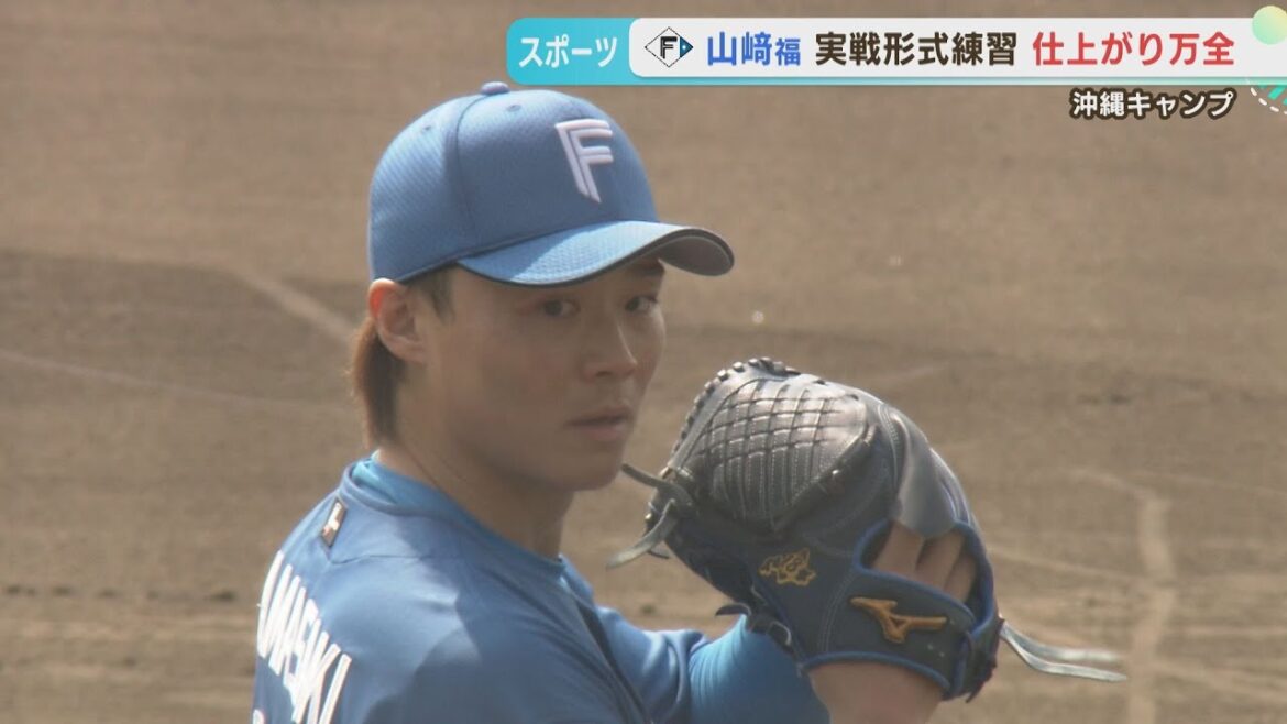 【ファイターズ】山﨑福也投手 8打席対戦し…ヒット性はわずか1本! 【ファイターズ】山﨑福也投手 8打席対戦し…ヒット性はわずか1本!