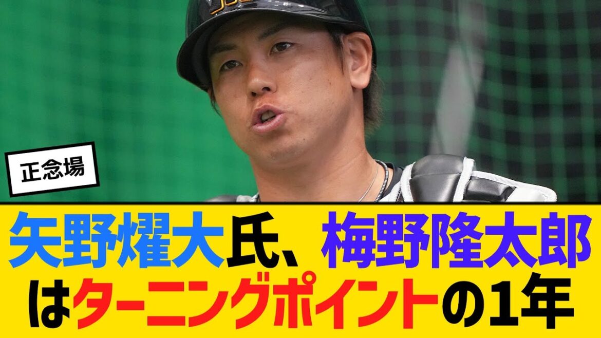 阪神元監督の矢野燿大氏、梅野隆太郎はターニングポイントの1年　【ネットの反応】【反応集】