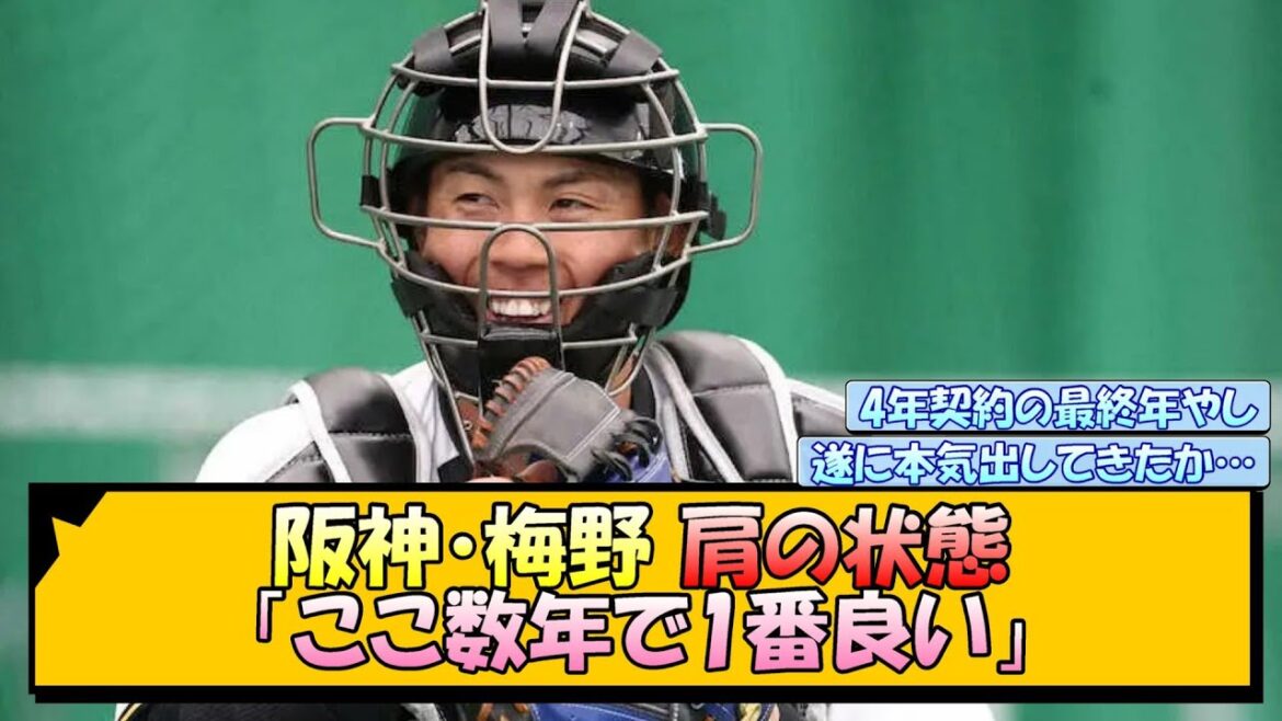 阪神・梅野 肩の状態「ここ数年で1番良い」【なんJ/2ch/5ch/ネット 反応 まとめ/阪神タイガース/藤川球児/梅野隆太郎】