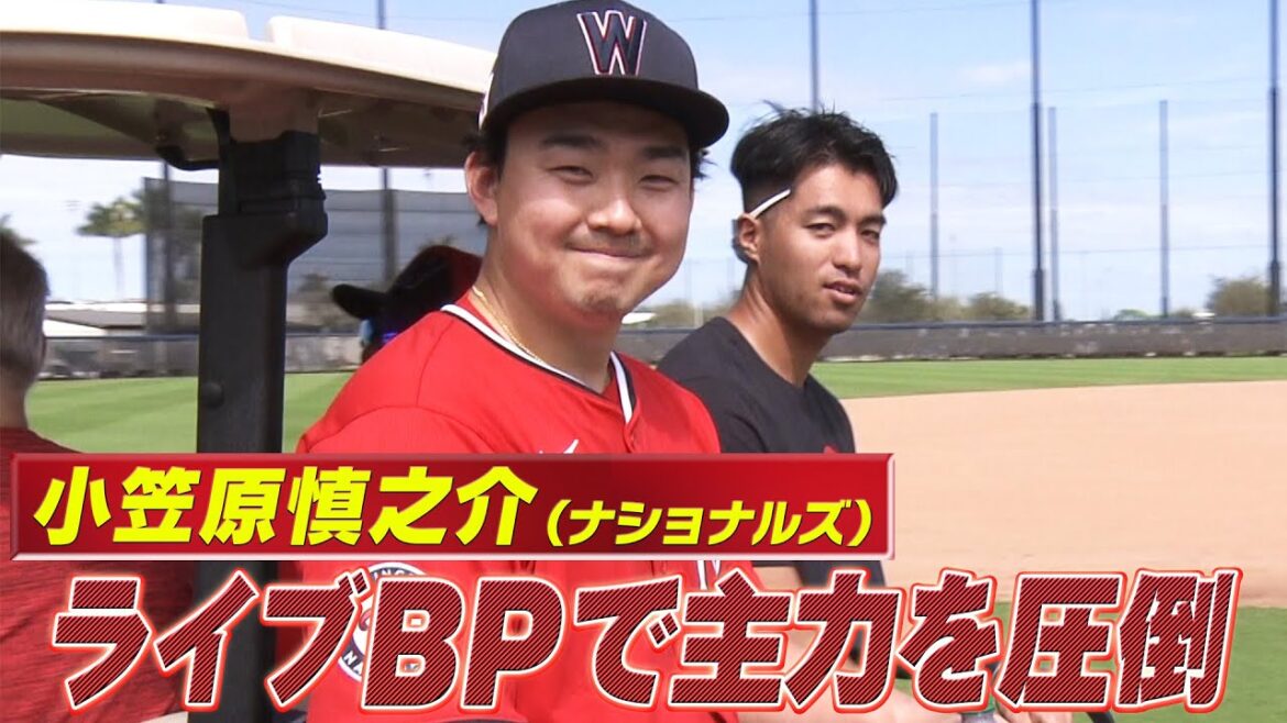 【小笠原慎之介】初のライブBPで主力を圧倒「指揮官も称賛の力投」【ナショナルズキャンプ】