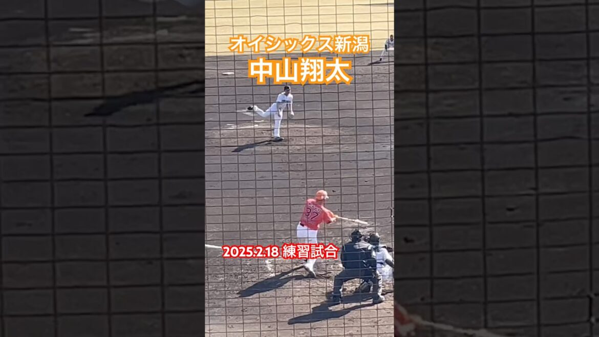 #中山翔太 #東京ヤクルトスワローズ #プロ野球 #オイシックス