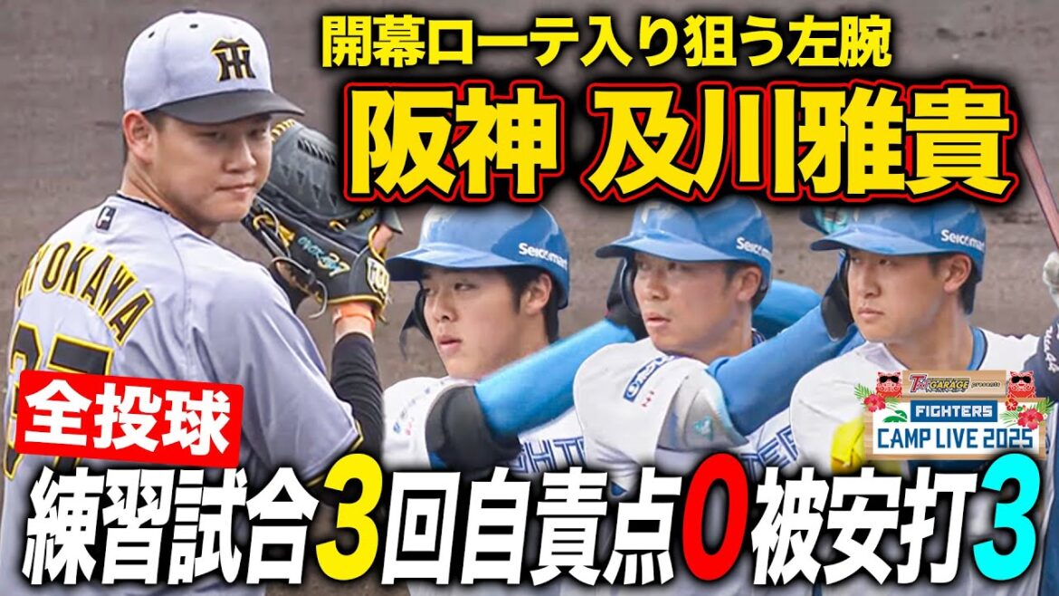 阪神及川雅貴vsファイターズ 2軍練習試合で3回自責点0も中島・山縣など光る活躍も<2/20ファイターズ春季キャンプ2025> 阪神及川雅貴vsファイターズ 2軍練習試合で3回自責点0も中島・山縣など光る活躍も<2/20ファイターズ春季キャンプ2025>