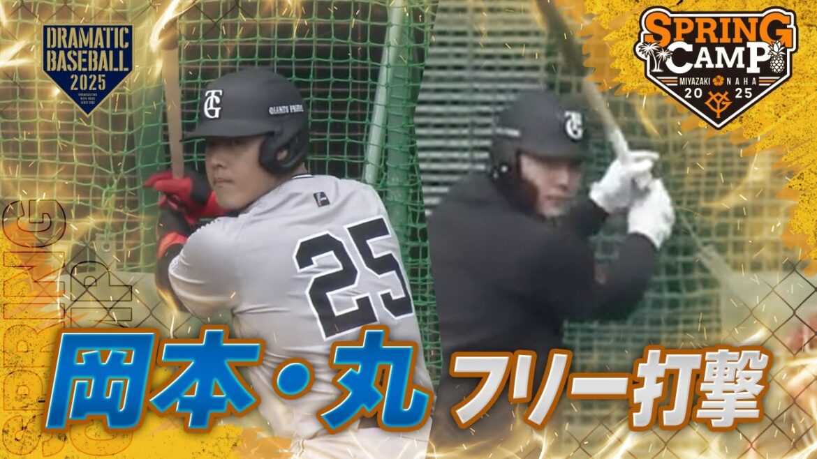 【春季キャンプ】“岡本・丸”フリーバッティング【巨人】 【春季キャンプ】“岡本・丸"フリーバッティング【巨人】