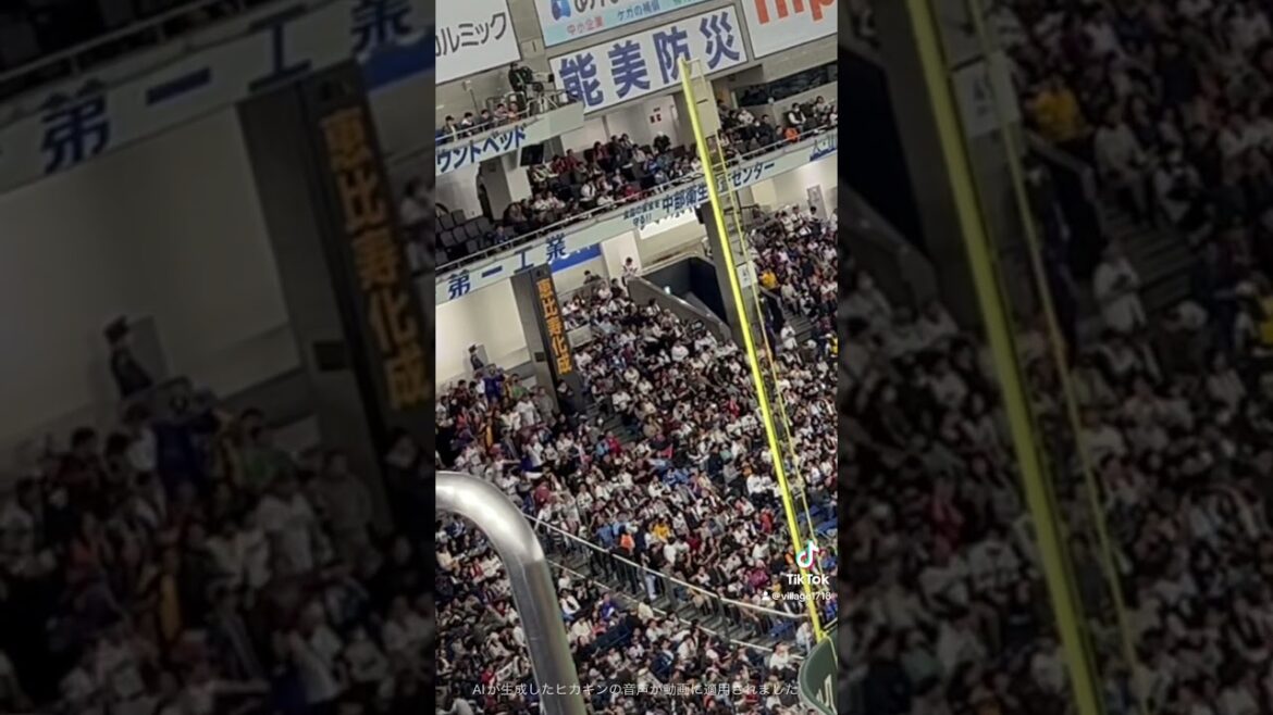 台湾代表 応援風景【プレミア12】（2024年11月23日）