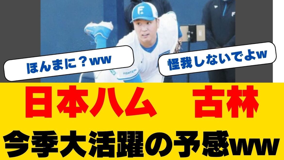 【衝撃】古林睿煬、157キロ右腕の"エグイ球質"に伏見捕手驚愕！台湾MVPの実力に期待の声...日ハム新助っ人が魅せた圧巻投球