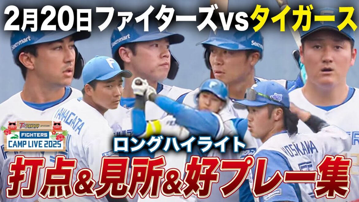 【山口アタル2安打】練習試合タイガース戦 安打&好プレー見所まとめ<2/20ファイターズ春季キャンプ2025> 【山口アタル2安打】練習試合タイガース戦 安打&好プレー見所まとめ<2/20ファイターズ春季キャンプ2025>