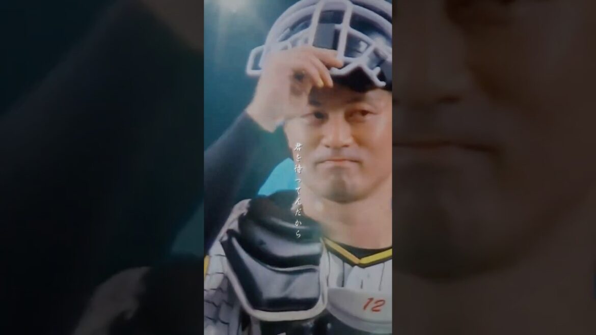 坂本誠志郎推し!来年の活躍､期待してます! #坂本誠志郎 #プロ野球 #阪神タイガース