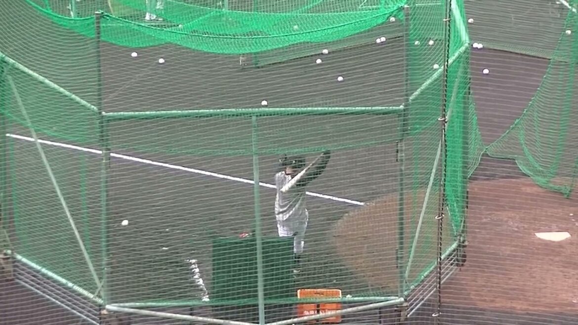 【巨人キャンプ】吉川尚輝のフリーバッティングの様子【ジャイアツ沖縄キャンプ 2025年2月18日】