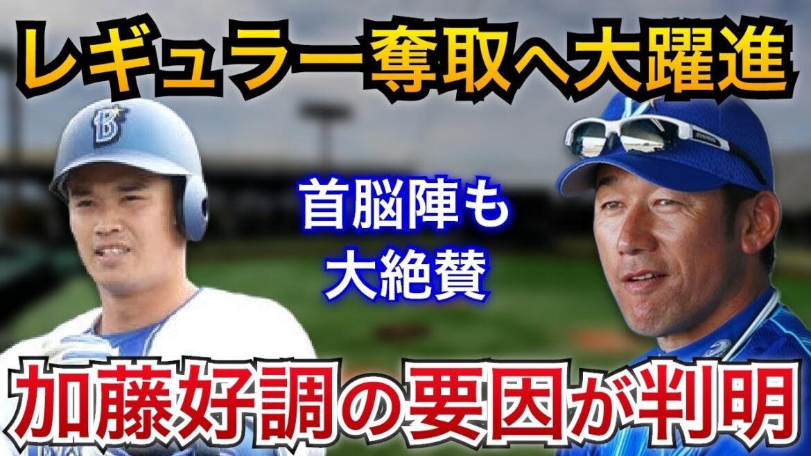 【レギュラー奪取へ大躍進!】三浦監督は「今まではすごくいい。」と絶賛。ドラ3ルーキー加藤の好調の要因が判明?【横浜DeNAベイスターズ】 【レギュラー奪取へ大躍進!】三浦監督は「今まではすごくいい。」と絶賛。ドラ3ルーキー加藤の好調の要因が判明?【横浜DeNAベイスターズ】
