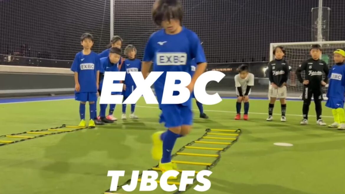 【スクール】 EXBC TJBCFS コーディネーション アジリティ2024.11 【スクール】 EXBC TJBCFS コーディネーション アジリティ2024.11