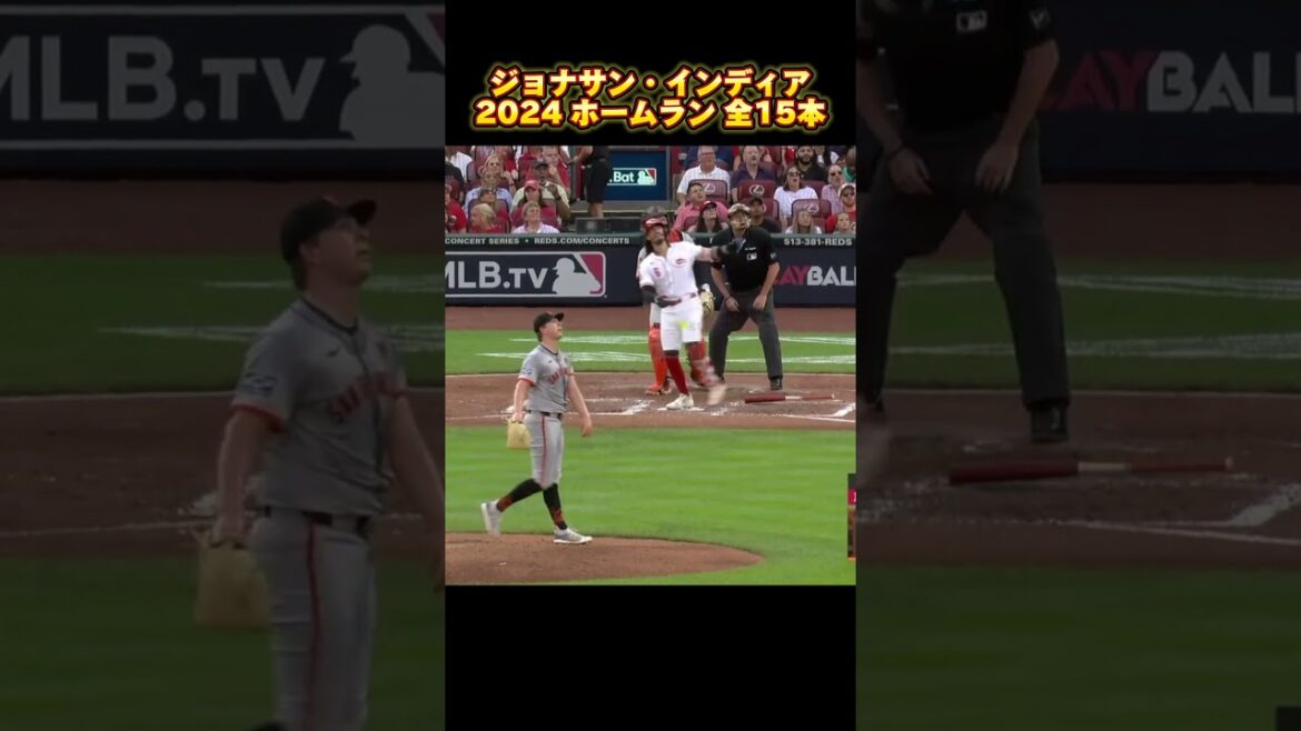 【MLB ホームラン集】ジョナサン・インディア 2024 全19本 シンシナティ・レッズ Jonathan India Cincinnati Reds #shorts