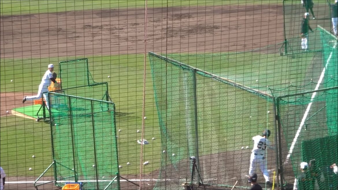 石塚裕惺、フリーバッティング（2025.02.20） ～読売ジャイアンツ宮崎春季キャンプ2025～