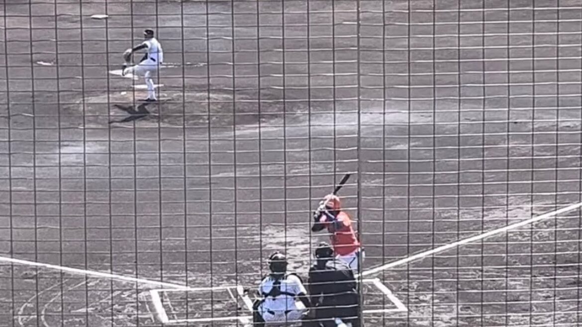 【元阪神タイガース】高山俊（オイシックス新潟アルビレックスBC）2025.2.18練習試合vs.くふうハヤテ