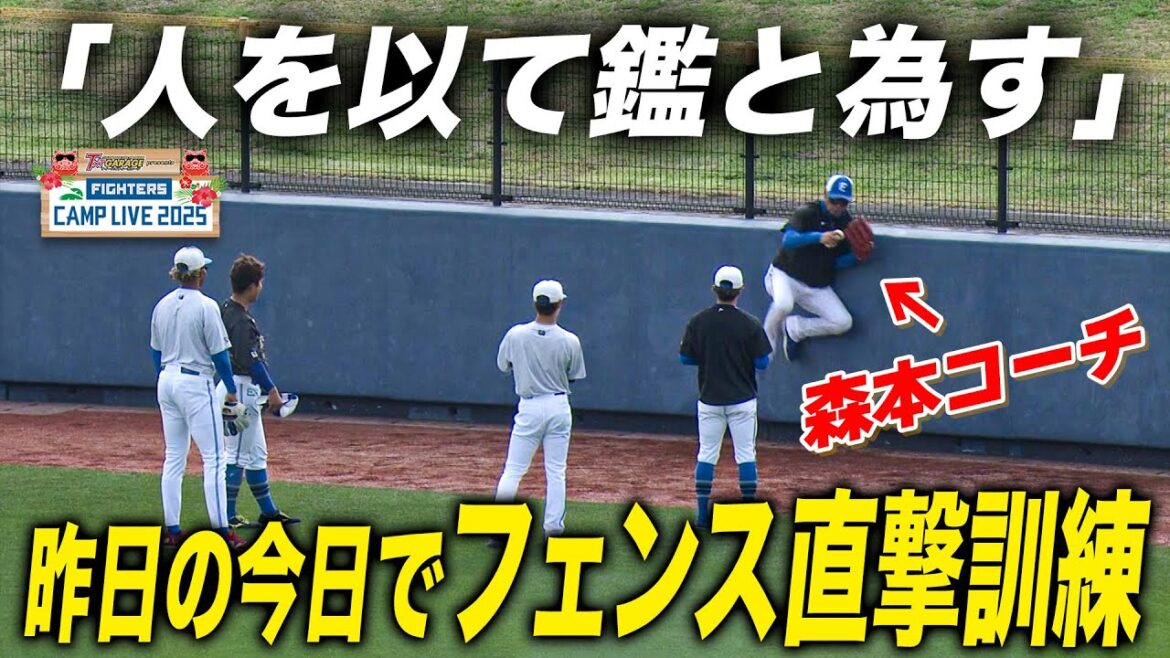 昨日の今日でフェンス直撃の確認訓練をするファイターズ外野陣<2/19ファイターズ春季キャンプ2025> 昨日の今日でフェンス直撃の確認訓練をするファイターズ外野陣<2/19ファイターズ春季キャンプ2025>
