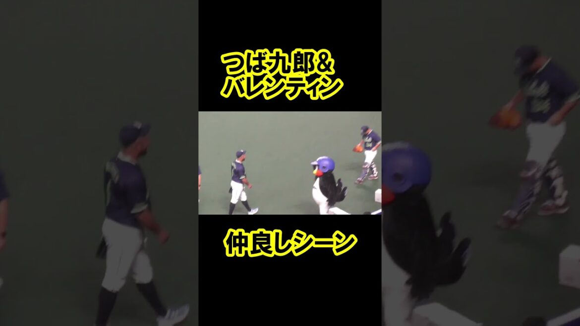 涙なしには見れない。つば九郎バレンティンと仲良しシーンまとめ