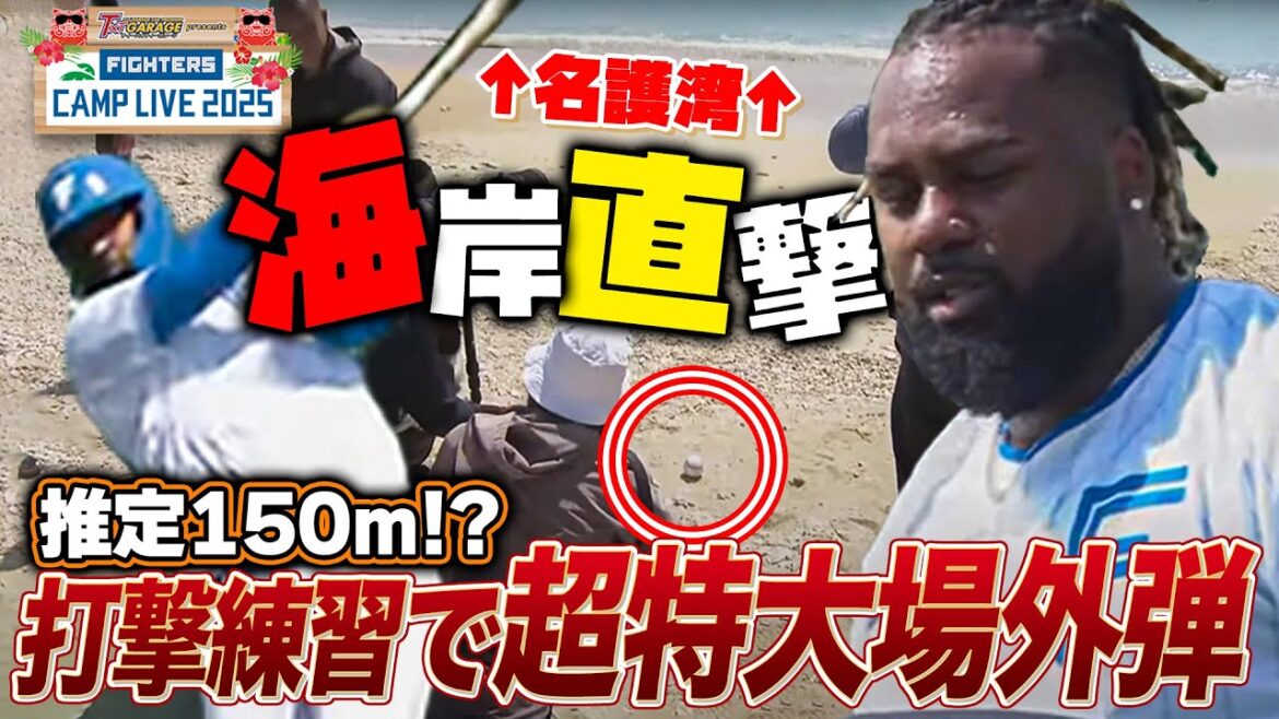 【超衝撃】推定150m!?レイエスの場外海岸直撃弾に記者殺到<2/19ファイターズ春季キャンプ2025> 【超衝撃】推定150m!?レイエスの場外海岸直撃弾に記者殺到<2/19ファイターズ春季キャンプ2025>