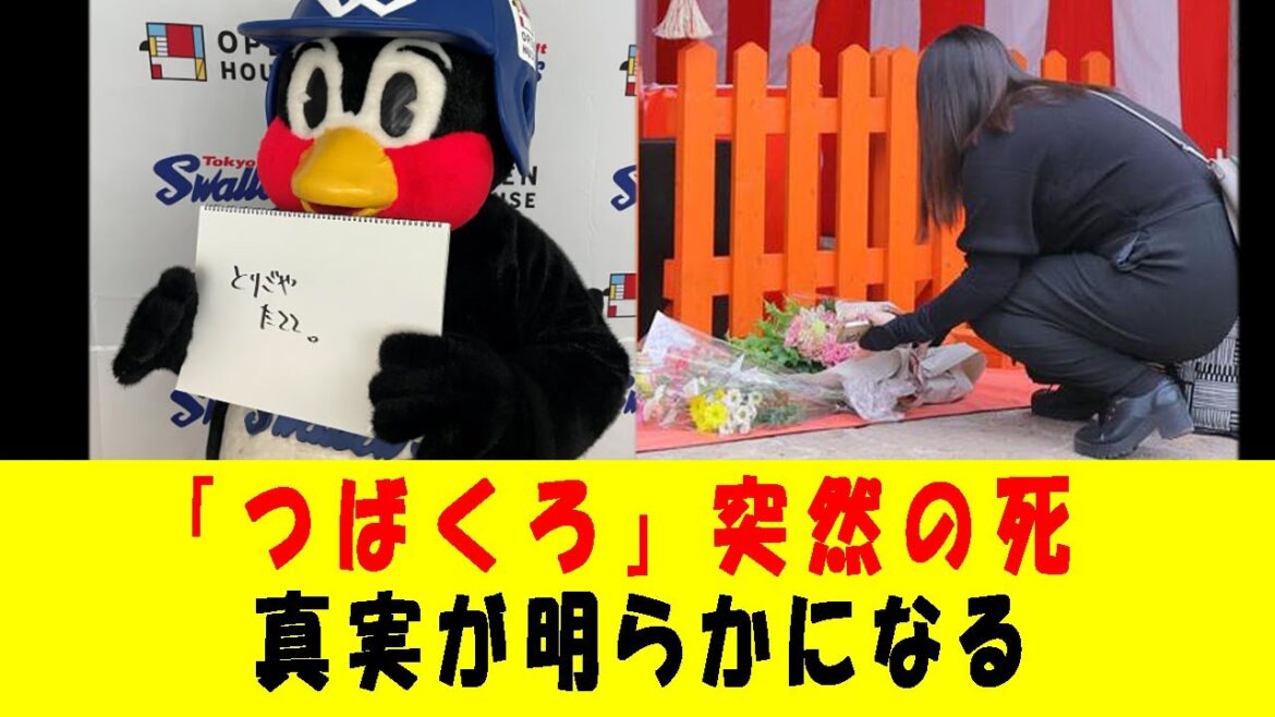「最新ニュース」つば九郎脱退の真相を明かす 「最新ニュース」つば九郎脱退の真相を明かす