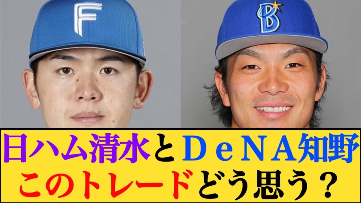 【電撃トレード】日本ハム清水優心とDeNA知野直人  ←これどう思う？【なんJプロ野球反応】