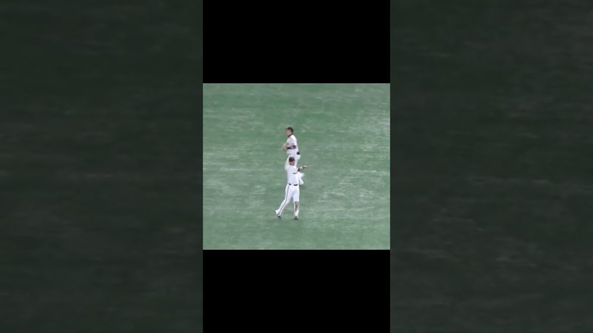 岡大海のライト前に落ちそうな当たり丸佳浩が年齢感じさせない好プレー（2024年6月6日 読売ジャイアンツ対 千葉ロッテマリーンズ）