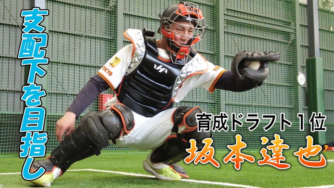 新入団 坂本達也　～支配下へ向け日々邁進！～